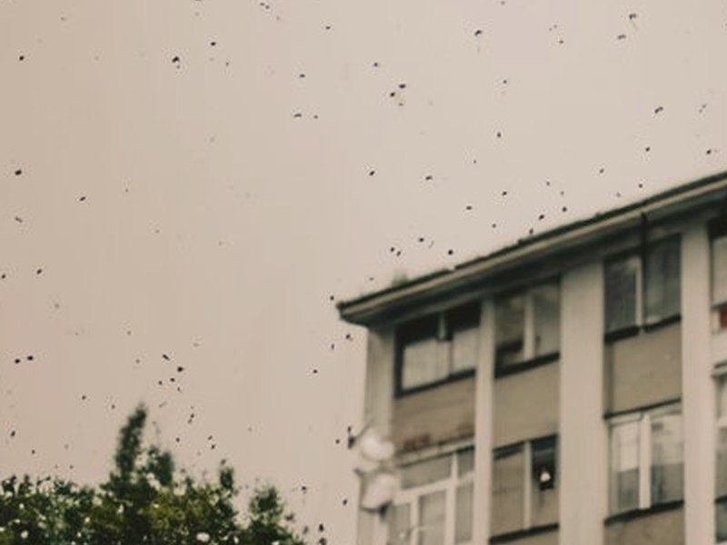 流言